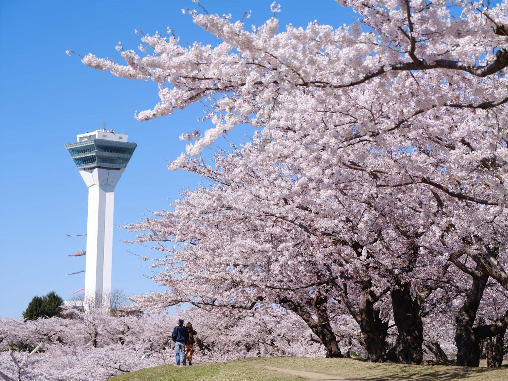 Gran Palette Hakodate Luaran gambar